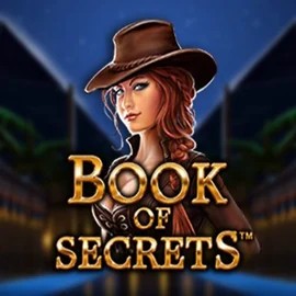 Play Book of Secrets slot by SYNOT Games on jackburst-casino.fi